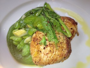 Wahoo with Spring Vegetables photo10 300x225 New York City Culinary Delights